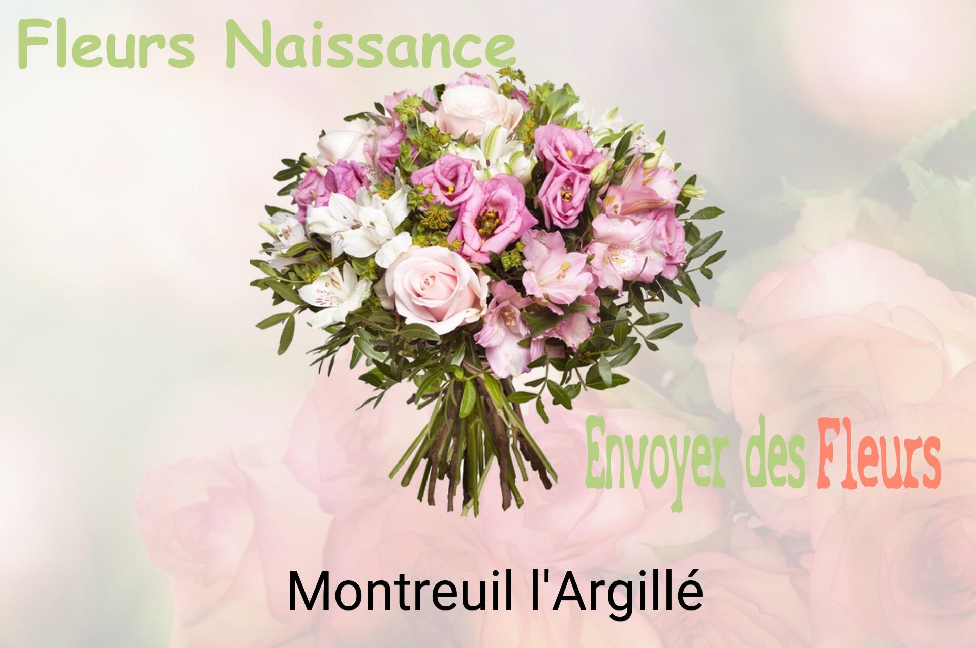 Bouquet de fleurs de naissance livré à Montreuil-l'Argillé